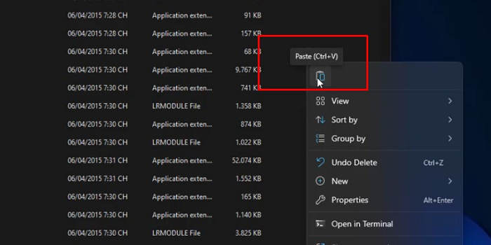 Paste file kích hoạt