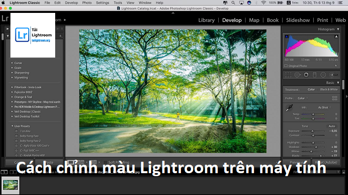 Cách Chỉnh Màu Lightroom Trên Máy Tính Đơn Giản Và Chi Tiết